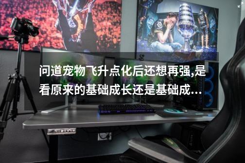 问道宠物飞升点化后还想再强,是看原来的基础成长还是基础成长加上强化过的成长-第1张-游戏信息-龙启网