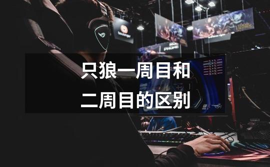 只狼一周目和二周目的区别-第1张-游戏信息-龙启网