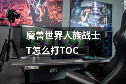 魔兽世界人族战士T怎么打TOC-第1张-游戏信息-龙启网