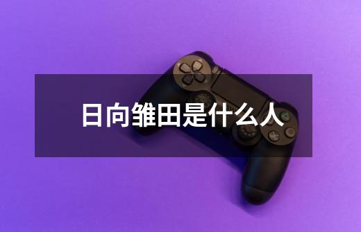 日向雏田是什么人-第1张-游戏信息-龙启网