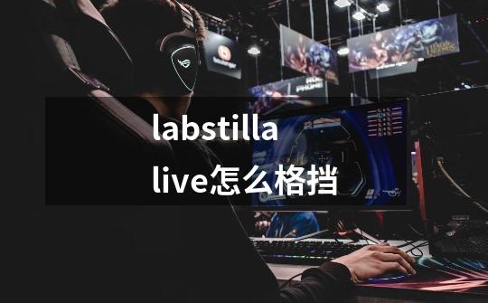 labstillalive怎么格挡-第1张-游戏信息-龙启网