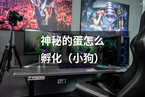 神秘的蛋怎么孵化（小狗）-第1张-游戏信息-龙启网