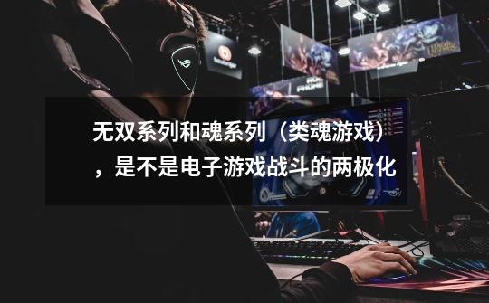 无双系列和魂系列(类魂游戏),是不是电子游戏战斗的两极化-第1张-游戏信息-龙启网