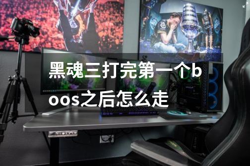 黑魂三打完第一个boos之后怎么走-第1张-游戏信息-龙启网