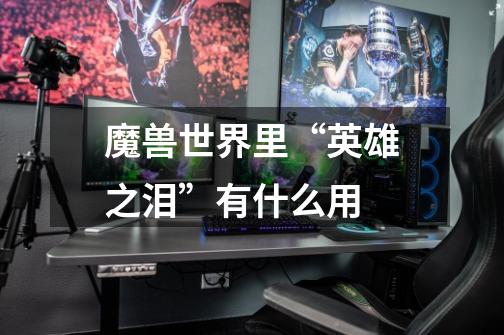 魔兽世界里“英雄之泪”有什么用-第1张-游戏信息-龙启网