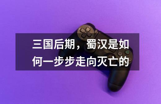 三国后期,蜀汉是如何一步步走向灭亡的-第1张-游戏信息-龙启网
