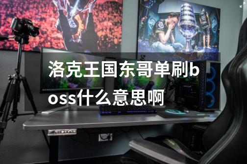 洛克王国东哥单刷boss什么意思啊-第1张-游戏信息-龙启网