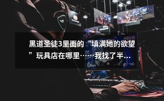 黑道圣徒3里面的“填满她的欲望”玩具店在哪里……我找了半天了差点把桥给炸了……-第1张-游戏信息-龙启网