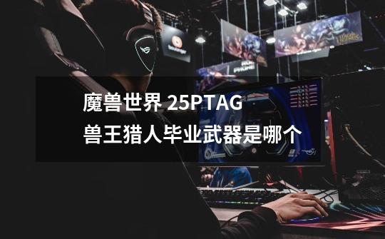 魔兽世界 25PTAG 兽王猎人毕业武器是哪个-第1张-游戏信息-龙启网