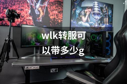wlk转服可以带多少g-第1张-游戏信息-龙启网