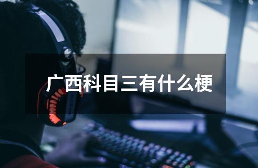 广西科目三有什么梗-第1张-游戏信息-龙启网