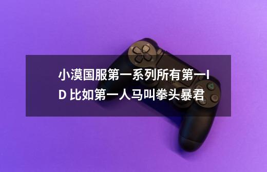 小漠国服第一系列所有第一ID 比如第一人马叫拳头暴君-第1张-游戏信息-龙启网