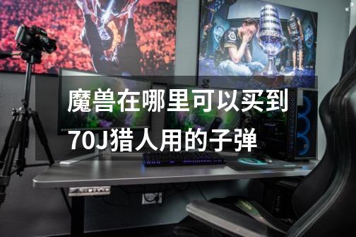 魔兽在哪里可以买到70J猎人用的子弹-第1张-游戏信息-龙启网
