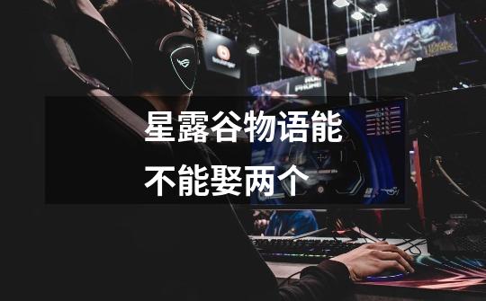 星露谷物语能不能娶两个-第1张-游戏信息-龙启网
