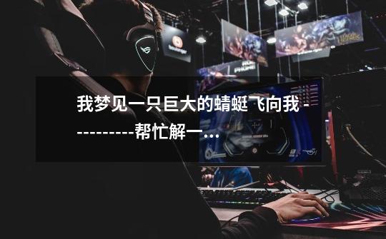 我梦见一只巨大的蜻蜓飞向我 ----------帮忙解一下-第1张-游戏信息-龙启网