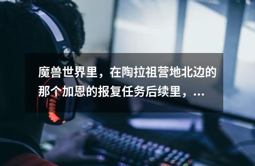 魔兽世界里，在陶拉祖营地北边的那个加恩的报复任务后续里，需要炸毁的飞机在什么地方啊-第1张-游戏信息-龙启网