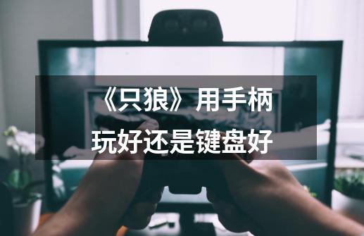 《只狼》用手柄玩好还是键盘好-第1张-游戏信息-龙启网