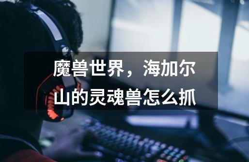 魔兽世界,海加尔山的灵魂兽怎么抓-第1张-游戏信息-龙启网
