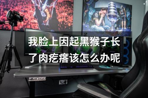 我脸上因起黑猴子长了肉疙瘩该怎么办呢-第1张-游戏信息-龙启网