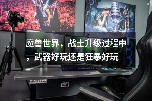 魔兽世界,战士升级过程中,武器好玩还是狂暴好玩-第1张-游戏信息-龙启网