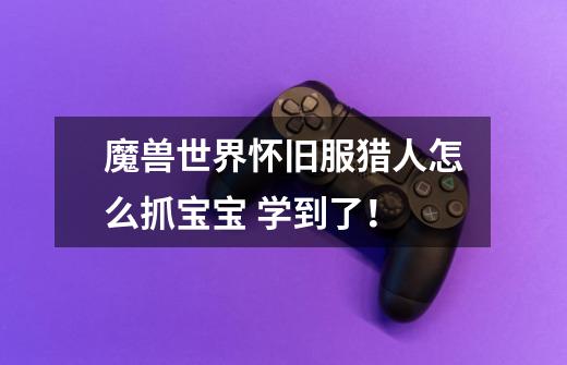 魔兽世界怀旧服猎人怎么抓宝宝 学到了!-第1张-游戏信息-龙启网