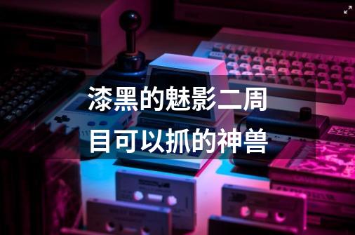 漆黑的魅影二周目可以抓的神兽-第1张-游戏信息-龙启网