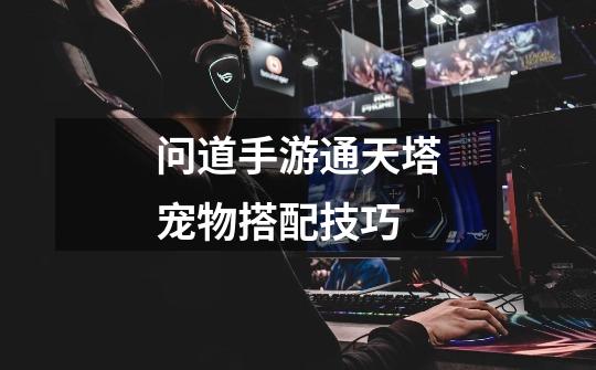 问道手游通天塔宠物搭配技巧-第1张-游戏信息-龙启网