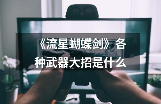 《流星蝴蝶剑》各种武器大招是什么-第1张-游戏信息-龙启网