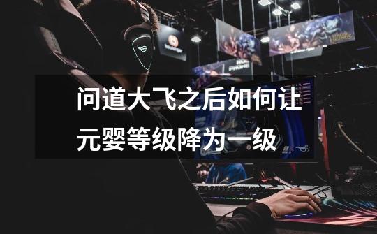 问道大飞之后如何让元婴等级降为一级-第1张-游戏信息-龙启网