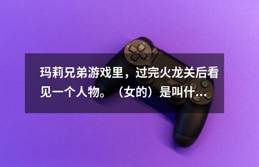 玛莉兄弟游戏里,过完火龙关后看见一个人物。(女的)是叫什么名阿-第1张-游戏信息-龙启网