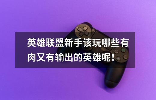 英雄联盟新手该玩哪些有肉又有输出的英雄呢！-第1张-游戏信息-龙启网