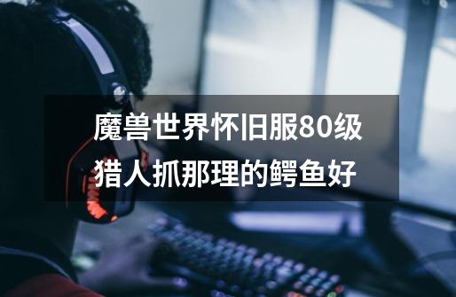 魔兽世界怀旧服80级猎人抓那理的鳄鱼好-第1张-游戏信息-龙启网
