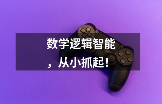 数学逻辑智能,从小抓起!-第1张-游戏信息-龙启网