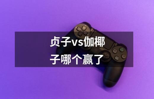 贞子vs伽椰子哪个赢了-第1张-游戏信息-龙启网