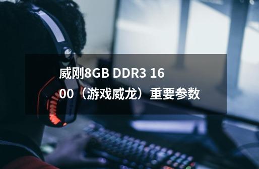 威刚8GB DDR3 1600(游戏威龙)重要参数-第1张-游戏信息-龙启网