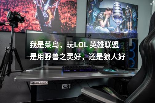 我是菜鸟，玩LOL 英雄联盟是用野兽之灵好，还是狼人好-第1张-游戏信息-龙启网