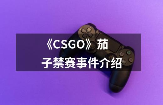 《CSGO》茄子禁赛事件介绍-第1张-游戏信息-龙启网