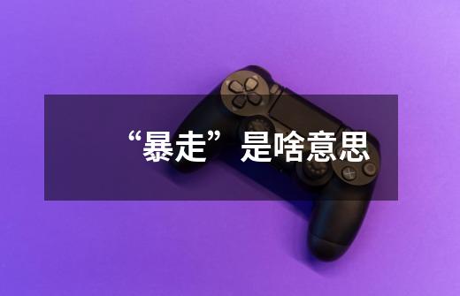 “暴走”是啥意思-第1张-游戏信息-龙启网