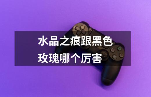 水晶之痕跟黑色玫瑰哪个厉害-第1张-游戏信息-龙启网
