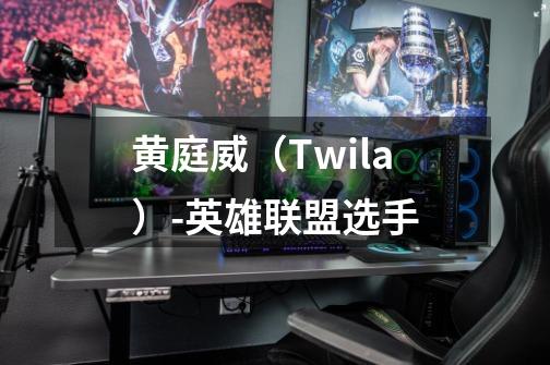 黄庭威(Twila)-英雄联盟选手-第1张-游戏信息-龙启网