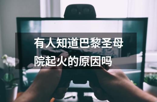 有人知道巴黎圣母院起火的原因吗-第1张-游戏信息-龙启网