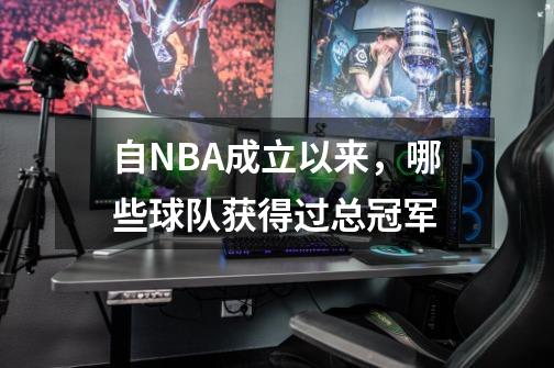 自NBA成立以来,哪些球队获得过总冠军-第1张-游戏信息-龙启网