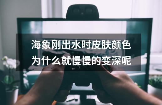 海象刚出水时皮肤颜色为什么就慢慢的变深呢-第1张-游戏信息-龙启网