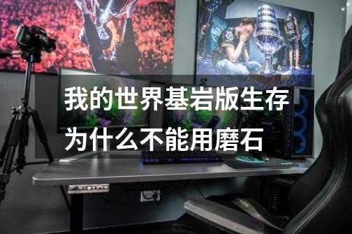 我的世界基岩版生存为什么不能用磨石-第1张-游戏信息-龙启网