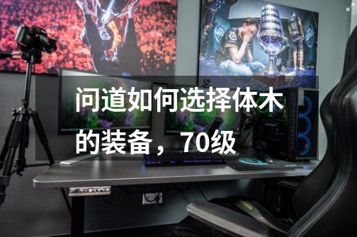 问道如何选择体木的装备，70级-第1张-游戏信息-龙启网