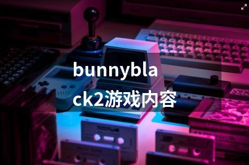 bunnyblack2游戏内容-第1张-游戏信息-龙启网