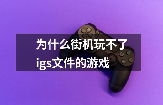为什么街机玩不了igs文件的游戏-第1张-游戏信息-龙启网