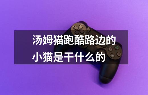 汤姆猫跑酷路边的小猫是干什么的-第1张-游戏信息-龙启网