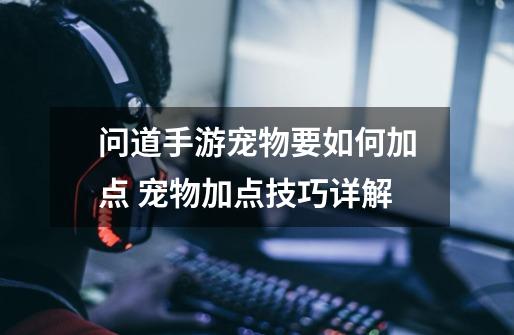 问道手游宠物要如何加点 宠物加点技巧详解-第1张-游戏信息-龙启网