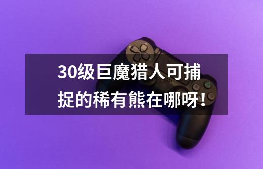 30级巨魔猎人可捕捉的稀有熊在哪呀！-第1张-游戏信息-龙启网